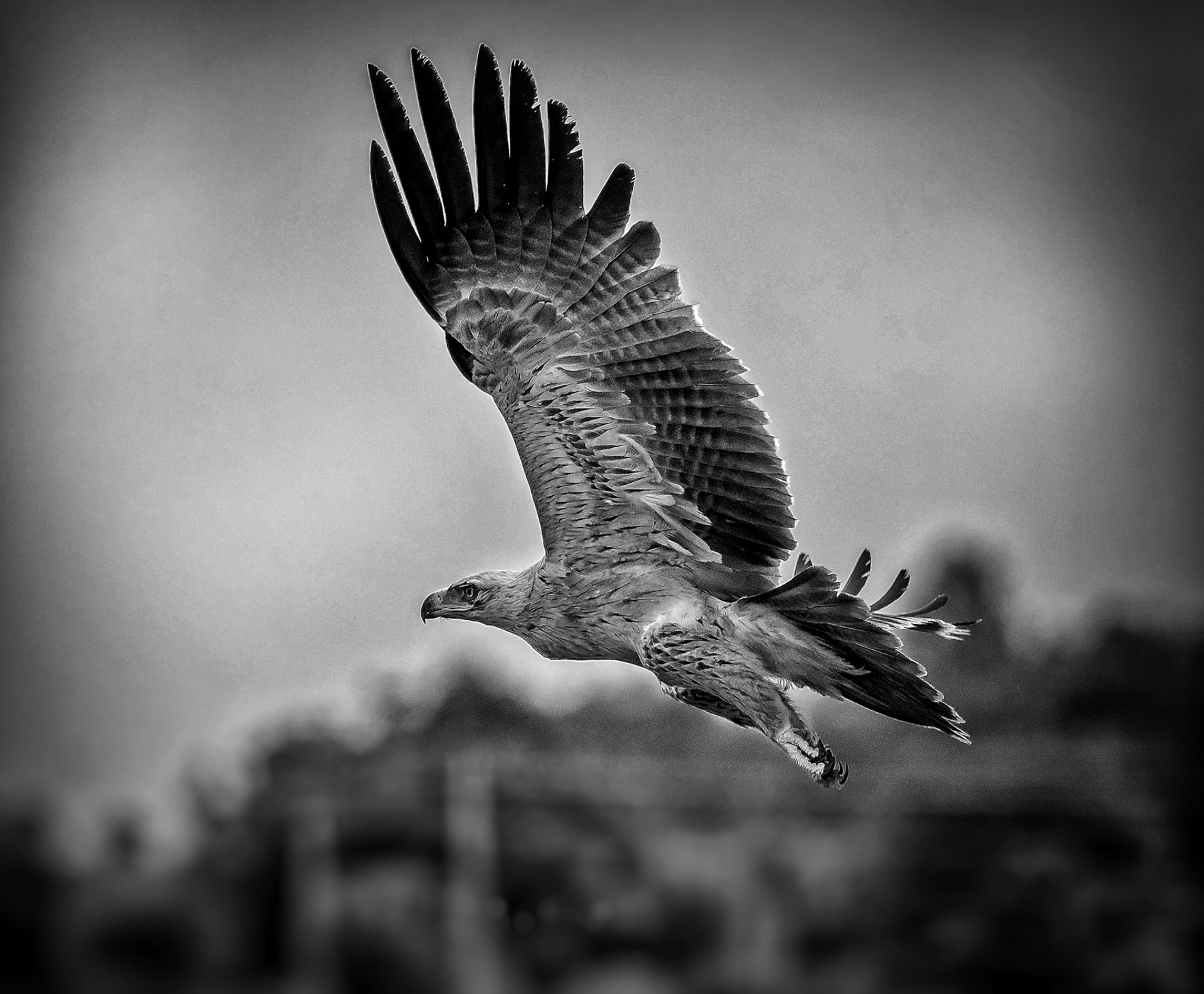 Flying Machine