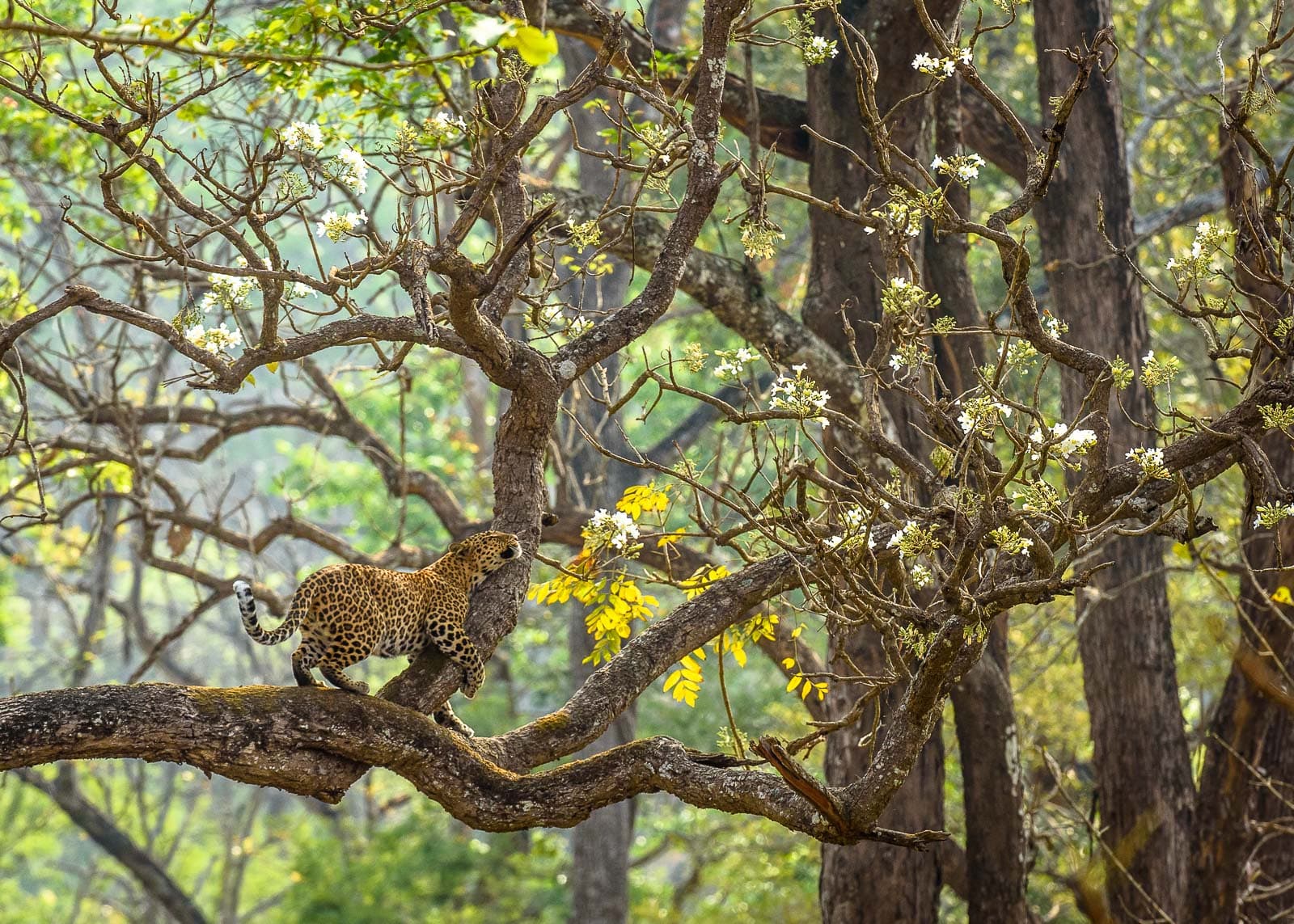 In the Arms of Mother Nature