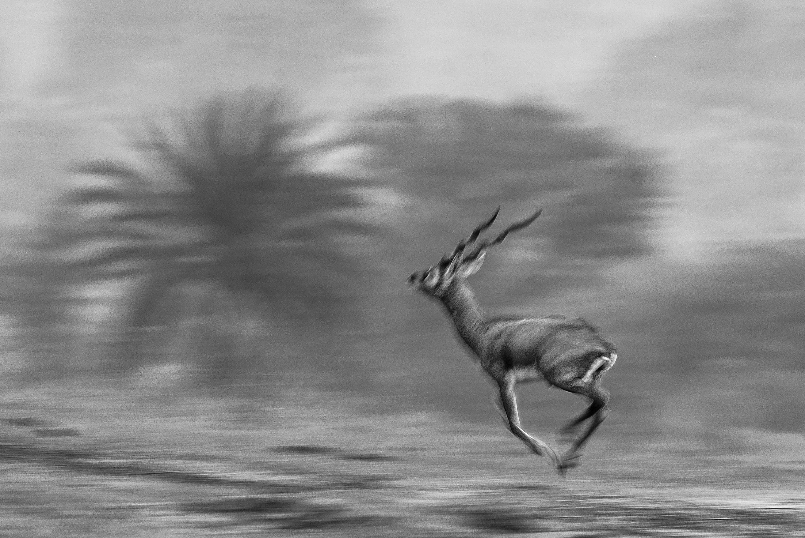 Life in Blur